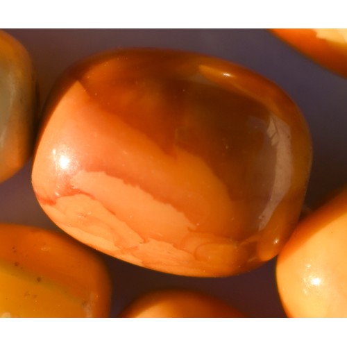 245 - A row of butterscotch amber beads on screw clasp, a/f, approx 30g