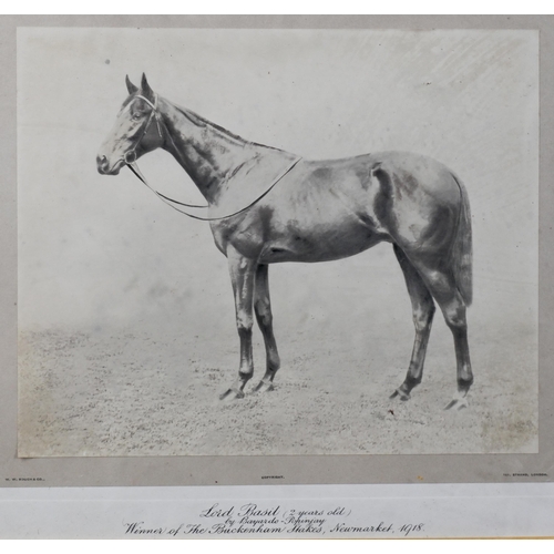 1003 - Two 1918 framed photographs of Newmarket winning racehorses 'Buchan' and 'Lord Basil' by W W Rouch &... 