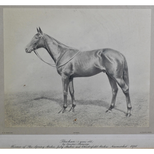 1003 - Two 1918 framed photographs of Newmarket winning racehorses 'Buchan' and 'Lord Basil' by W W Rouch &... 