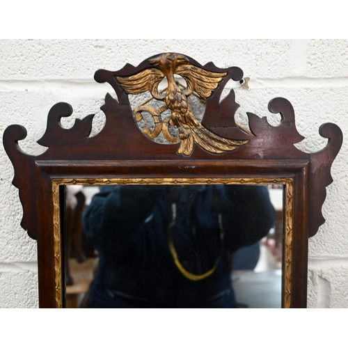 169 - A wall mirror in fret-cut mahogany frame surmounted by gilt ho-ho bird (a/f), 70 x 40 cm