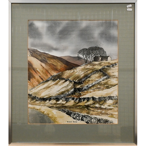 309 - Jacquie Denby - Hillside view, pen ink and wash, signed, 49 x 43 cm