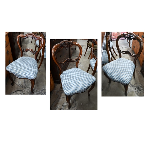 81 - A Harlequin set of six Victorian rosewood balloon back dining chairs with blue and cream herringbone... 