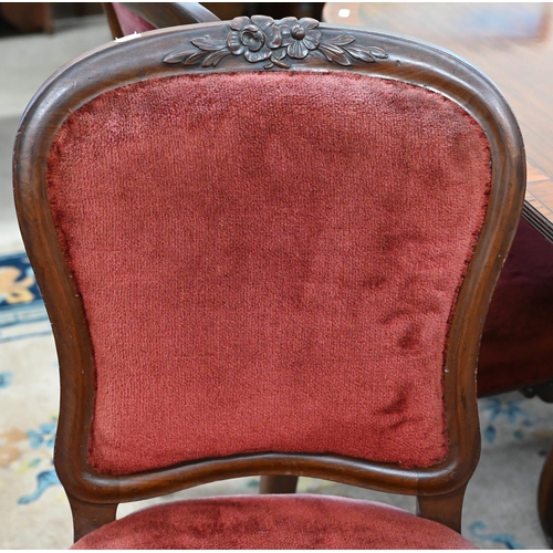 95 - A set of six Victorian floral carved mahogany dining chairs upholstered with burgundy velour fabric ... 