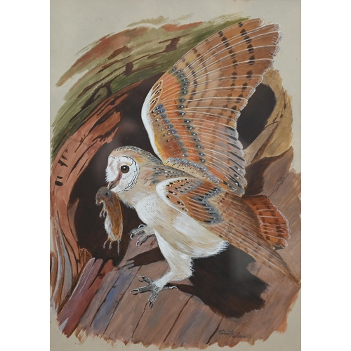 330A - John Wallace - 'Tawny owl', watercolour, signed, 34 x 24 cm to/w 'Barn owl', acrylic, signed, 28 x 2... 