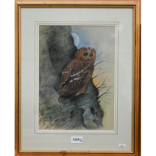 330A - John Wallace - 'Tawny owl', watercolour, signed, 34 x 24 cm to/w 'Barn owl', acrylic, signed, 28 x 2... 