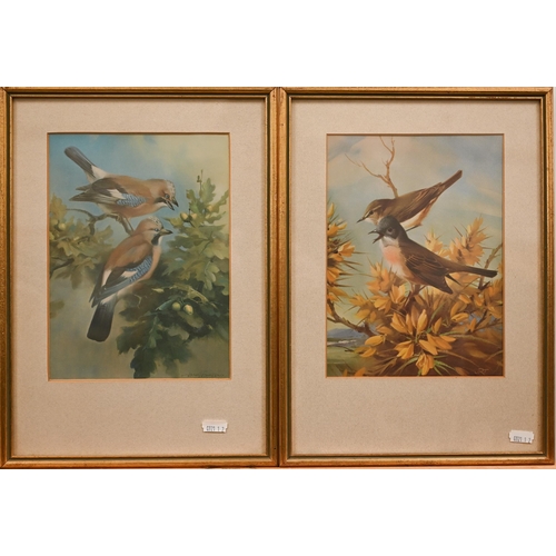 327 - Six various reprodution prints of birds including some after Vernon Ward (6)