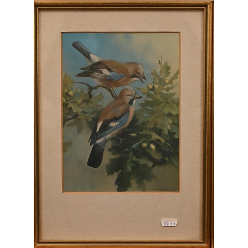 327 - Six various reprodution prints of birds including some after Vernon Ward (6)