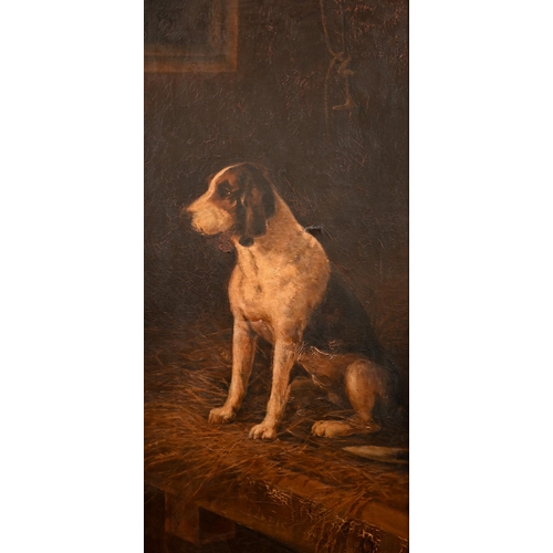 328 - C A Bentley - Study of a fox hound in a kennel, oil on canvas, signed and dated 1910, 90 x 37 cm, a/... 