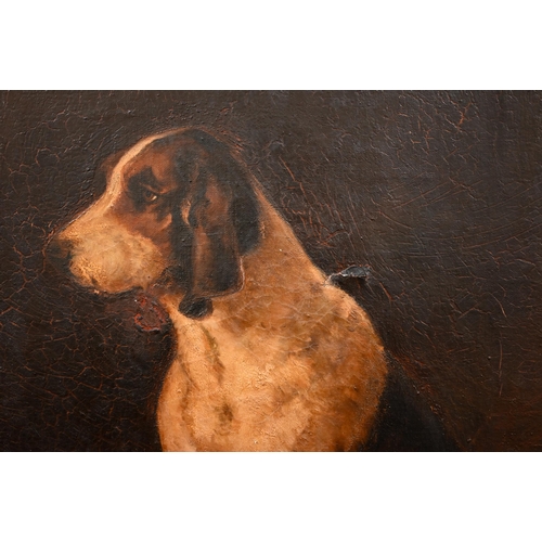 328 - C A Bentley - Study of a fox hound in a kennel, oil on canvas, signed and dated 1910, 90 x 37 cm, a/... 