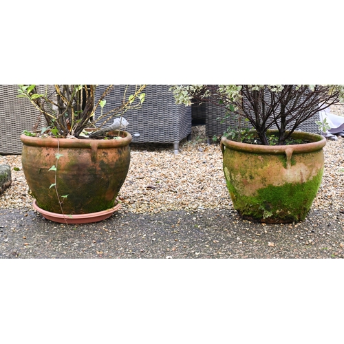 8 - Two weathered terracotta tub planters, with trees (2)