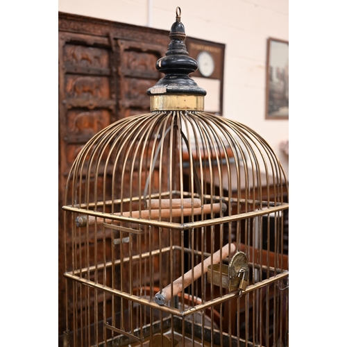 276 - A large Victorian brass parrot/bird cage with turned wooden hanging mount, 46 x 46 x 106 cm h