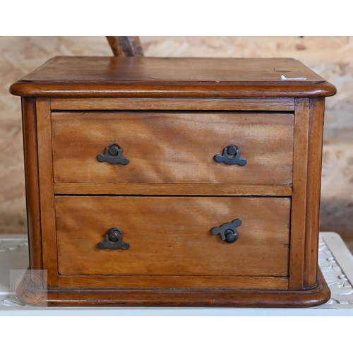 166 - A Victorian mahogany medicine cupboard with panelled door enclosing shelved interior, 40 x 14 x 62 c... 