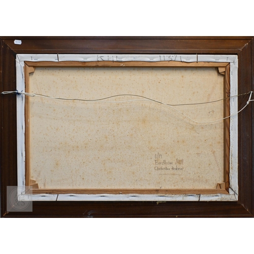 625 - Harley Crossley (1936-2013) - 'Tollard Royal', oil on canvas, signed lower left, 44 x 90 cm and 'Bir... 