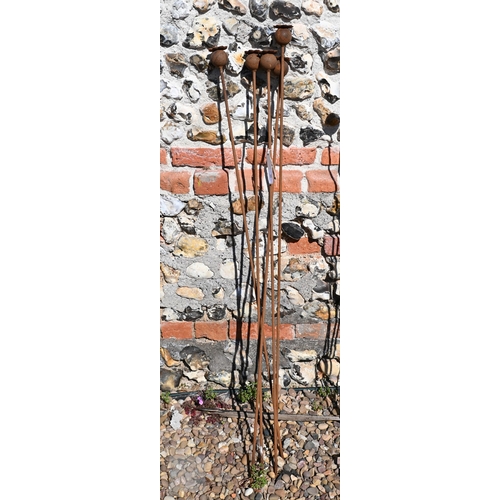 Lot 50        