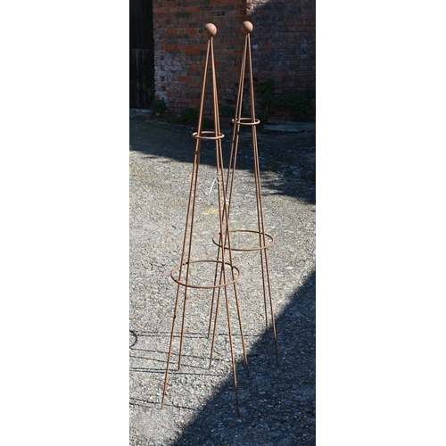 Lot 53        