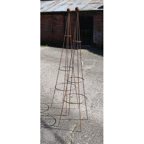 Lot 54        