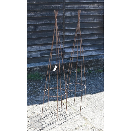Lot 55        