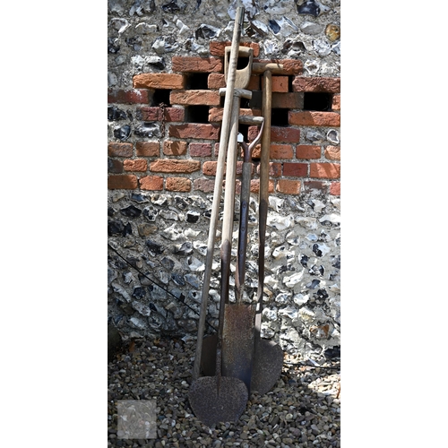Lot 24        