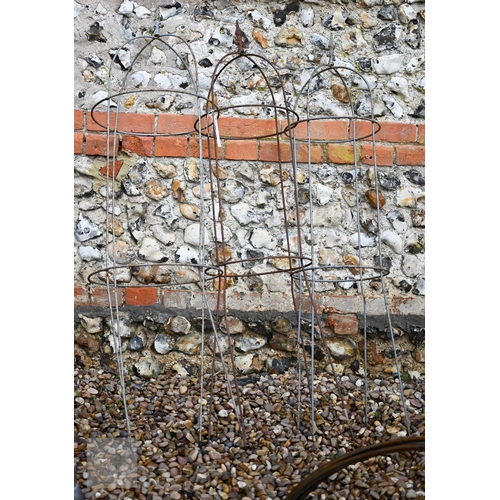 Lot 28        
