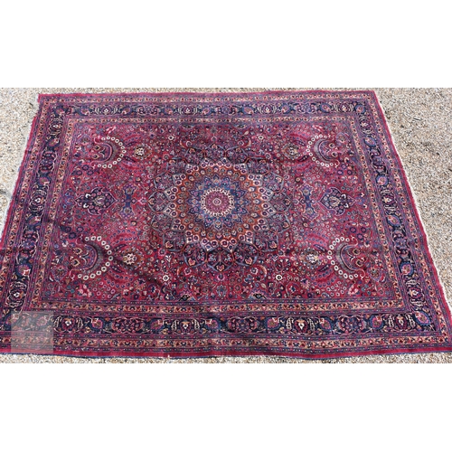 Lot 583       