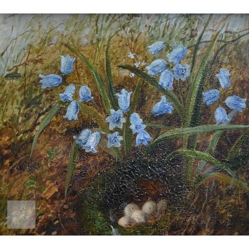 441 - William Cruickshank (1848-1922) - Bird's nest nestled beneath bluebells, watercolour, signed lower r... 