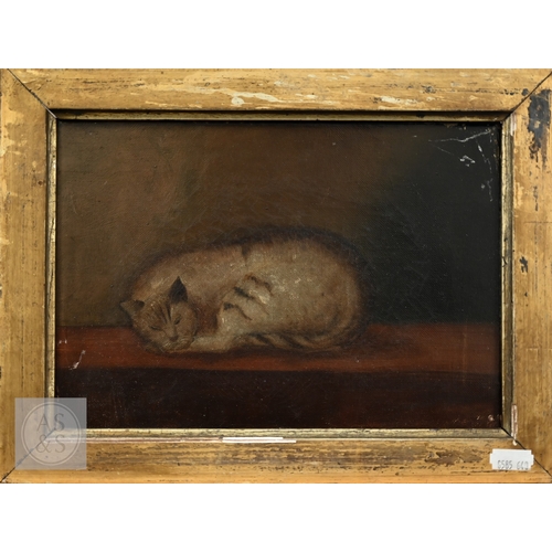 322 - 19th century English school - Sleeping cat, oil on canvas, 17 x 24 cm to/w A Walker - Chicken and ra...