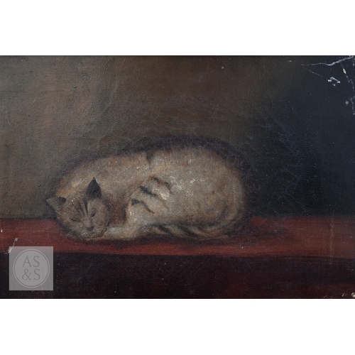 322 - 19th century English school - Sleeping cat, oil on canvas, 17 x 24 cm to/w A Walker - Chicken and ra... 