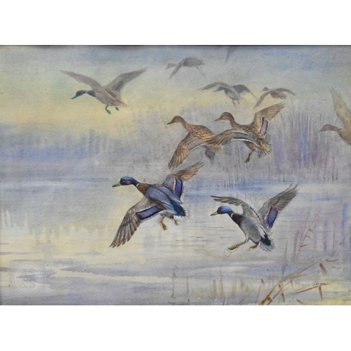 643 - Roland Green (British, 1890/96-1972) - Ducks in flight, watercolour, signed lower right, 27 x 36 cmA... 