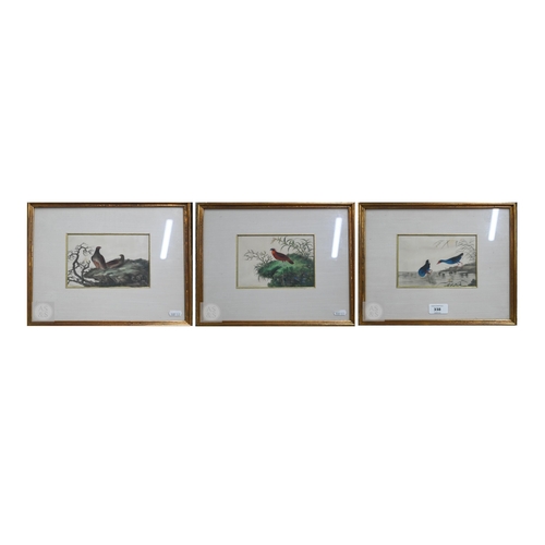 341 - Three early 20th century Chinese export pith paintings of birds, late Qing or Republic period, mount... 