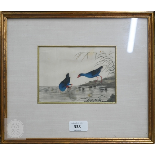 341 - Three early 20th century Chinese export pith paintings of birds, late Qing or Republic period, mount... 