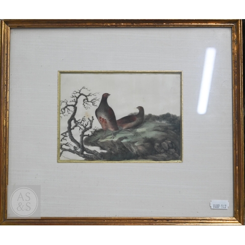 341 - Three early 20th century Chinese export pith paintings of birds, late Qing or Republic period, mount... 