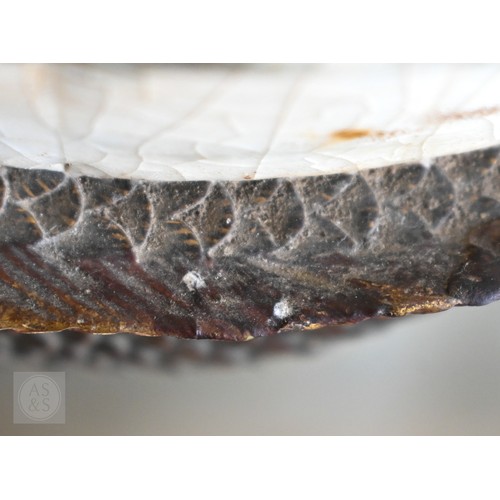 449 - A Japanese Meiji era pottery vase, relief-moulded with a carp leaping from a painted pond, with gild... 