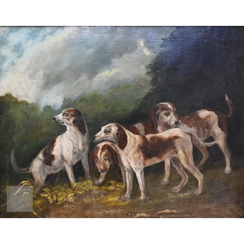 542 - E Armfield (British, 1817-1896) - Study of four hounds, oil on canvas, signed, 70 x 90 cm