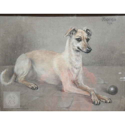 540 - Maud West Watson (1865-1945) - 'Mosca', pastel on paper, signed lower left and titled and dated 1918... 