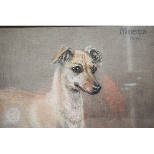 540 - Maud West Watson (1865-1945) - 'Mosca', pastel on paper, signed lower left and titled and dated 1918... 