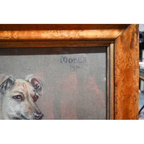 540 - Maud West Watson (1865-1945) - 'Mosca', pastel on paper, signed lower left and titled and dated 1918... 