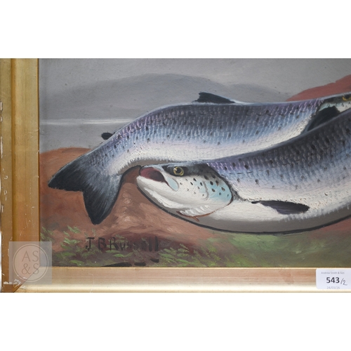 543 - J B Russell - Two - Study of trout and pheasants, oil on canvas, signed lower left, 36 x 61 cm (2) P... 