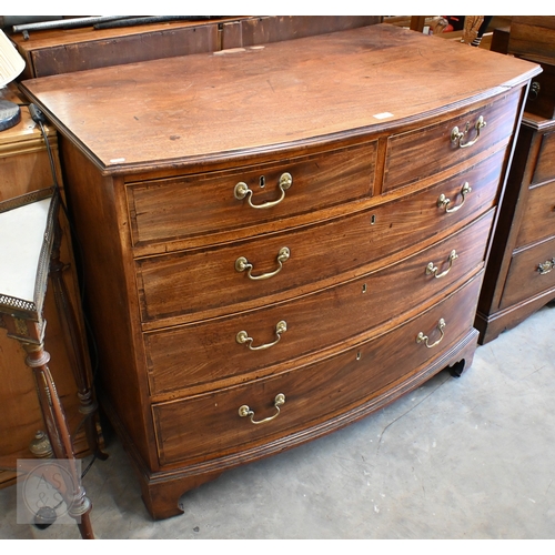A 19th century mahogany bowfront chest of two short over three long crossbanded rosewood drawers with brass handles standing on ogee bracket feet, top split on front edge, 110 x 66 x 95 cm high
