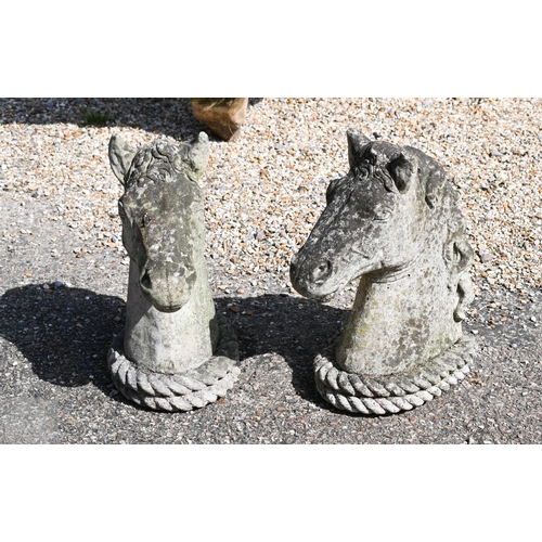 1 - A pair of weathered cast stone horse heads, 48 cm h (2)