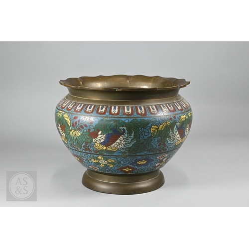 Lot 270       