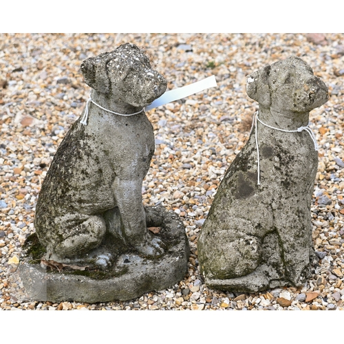 37 - Small garden states - two small weathered reconstituted stone dogs to/with a low bird bath and a sea... 