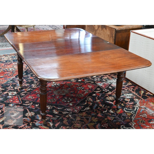 Lot 49        