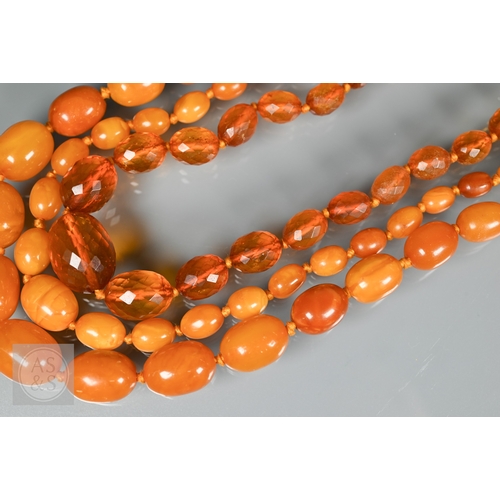 275 - A triple row of graduated amber beads, comprising two 'butterscotch opaque' and one faceted, double ... 