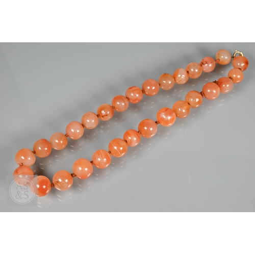 275 - A triple row of graduated amber beads, comprising two 'butterscotch opaque' and one faceted, double ... 