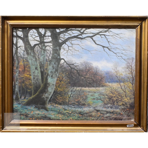 Lot 504       