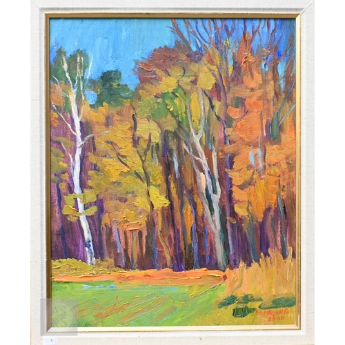 Lot 507       