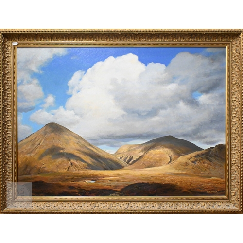 Lot 532       
