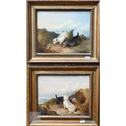 Lot 534       