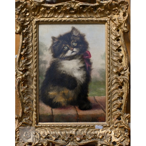 Lot 535       