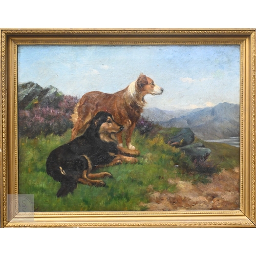 Lot 536       